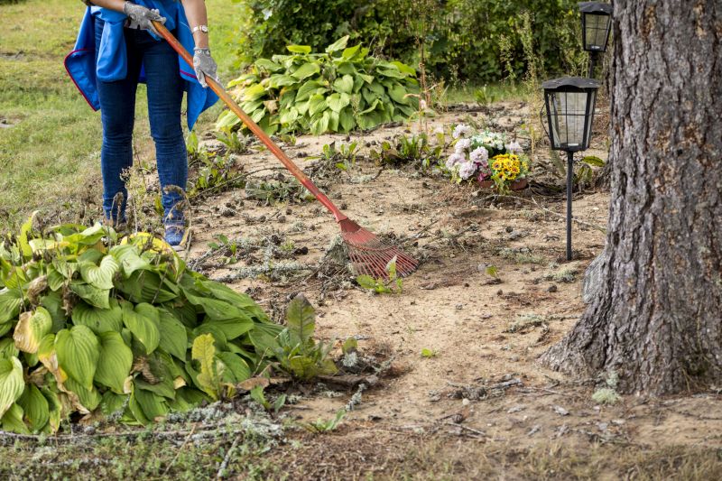 Property Line Clearing in Atlanta, GA